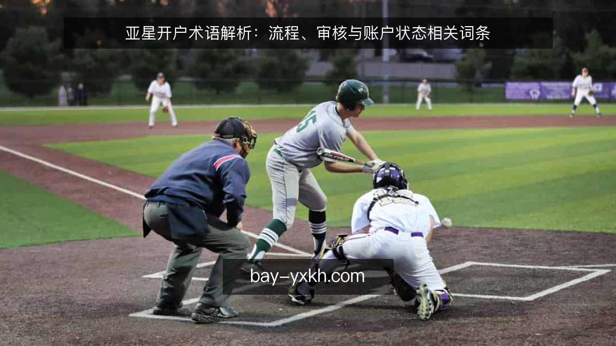亚星开户术语解析：流程、审核与账户状态相关词条